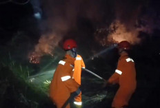 Tiga Hektare Lahan Semak Belukar di Muara Tembesi Terbakar