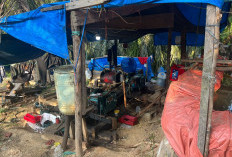 Digerebek Saat Menggali Emas, Enam Penambang Ilegal 