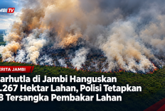 Karhutla di Jambi Hanguskan 4.267 Hektar Lahan, Polisi Tetapkan 18 Tersangka Pembakar Lahan