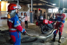 Evakuasi Cepat, Damkar Kota Jambi Amankan Ular Sanca di Talang Bakung