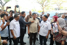 Menaker: Standar Kerja Layak Era Digital akan Jadi Acuan Penguatan Regulasi Ketenagakerjaan