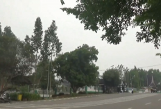Angka Ispu Di Batang Hari Turun Dari Zona Hitam Turun Ke Zona Merah