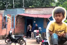 Bocah 6 Tahun Hilang! Alaka Hilang Saat Ditinggal Sendiri di Rumah