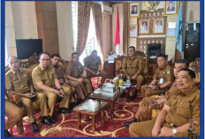 Zoom Meeting Bersama Komisi II DPR RI, Wali Kota Alfin Dorong Kepastian Status PPPK Penuh dan Paruh Waktu 