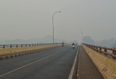 Kabut Asap Ganggu Pengendara di Muaro Jambi, Jarak Pandang Terbatas