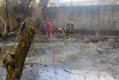 Tumpahan Solar Milik PT KTA Mengalir Hingga Parit Jadi Penyebab Kebakaran