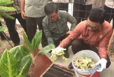 Dukung Ketahanan Pangan, Pemkot Jambi Optimalkan Program Agrobiopori
