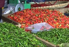 Harga Cabai di Kuala Tungkal, Kabupaten Tanjab Barat Alami Kenaikan