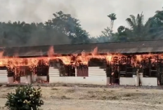 Puluhan Mess PT RAU di Sumay Ludes Terbakar