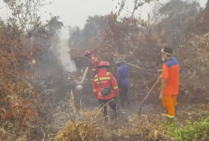 Dana Banpres Karhutla Rp10 Miliar, Baru Rp5,2 Miliar Diajukan OPD Sarolangun