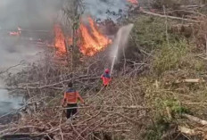 Dua Hektare Lahan di Batang Hari Terbakar, Petugas Berjibaku Selama 4 Jam