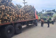 Truk Tangki CPO dan Truk Pengangkut Kayu Terlibat Tabrakan di Batang Hari