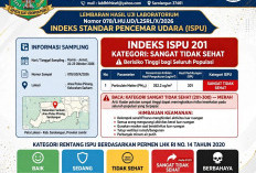 WARNING! Kualitas Udara Sarolangun Masuk Zona Merah, ISPU Tembus Angka 200