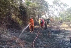 Diduga Akibat Pembakaran Sengaja, Kebakaran Lahan Terjadi di Dua Lokasi Kota Jambi