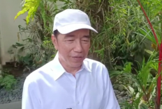 Jokowi Akan Hadir di Sidang Kasus Roy Suryo dan Tifa, Bawa Semua Ijazah