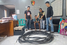 Baru Bebas, Residivis Pencuri Kabel Listrik Kembali Beraksi di Muaro Jambi, Diciduk Usai Sembunyi di Kebun Saw