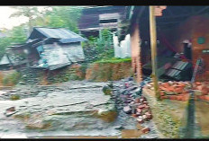 Ganasnya Banjir Bandang Di Batang Asai, 2 unit Rumah Hancur jembatan Gantung Putus 