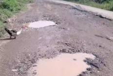 Jalan Betung- Pintas dan Padang Lamo Rusak Parah, Komisi III DPRD Tebo Minta PUPR Jambi Turun Langsung