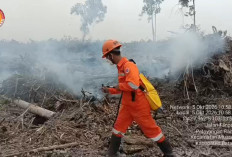 Tiga Titik Karhutla Terbakar di Batang Hari, Luas Lahan Capai 4,5 Hektare