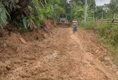 Gerak Cepat Tangani Longsor, Bupati Hurmin Kerahkan Alat Berat ke Batang Asai