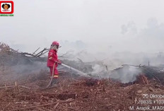 Empat Titik Karhutla Muncul di Batang Hari, Petugas Temukan Jerigen Diduga Berisi Pertalite