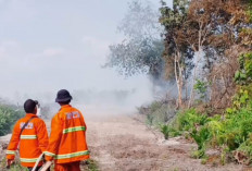 Hasil Mitigasi, Seluruh Kecamatan Di Batang Hari Dianggap Rawan Karhutla