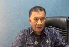 1.470 Ha Lahan Sawah di Kota Sungai Penuh Tidak Bisa Ditanam Padi