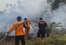 Dampak KARHUTLA Ispu Di Batang Hari Kembali Naik Ke Level Sangat Tidak Sehat Kabupaten Batang Hari