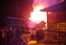 Kebakaran Hebat di Arab Melayu Jambi, 5 Rumah Hangus Dilalap Api