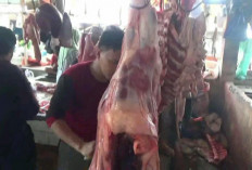 H-1 Idul Adha 1447 H, Harga Daging Sapi dan Kerbau di Batang Hari Melonjak