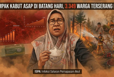 Dampak Kabut Asap di Batang Hari, 3.349 Warga Terserang ISPA