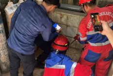 Ular Sanca Masuk Ruang Oksigen RS Kambang, Petugas Damkar Lakukan Evakuasi