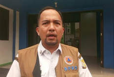 124 Kasus Karhutla Terjadi di Kota Jambi, Luas Lahan Terbakar Capai 20 Hektare