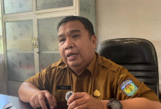 Gigitan Hewan Peliharaan di Sungai Penuh Naik di 2025