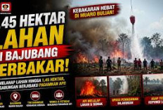 1,45 Hektare Lahan Terbakar di Batang Hari, Heli Water Bombing Dikerahkan