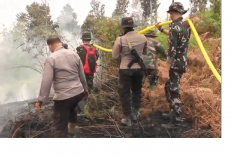 Api Terus Berkobar, Satgas Karhutla Jambi Kerahkan Empat Helikopter