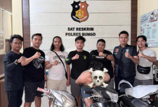 Tim Gunjo Polres Bungo Ringkus Pelaku Curanmor, Tiga Unit Sepeda Motor Berhasil Diamankan