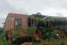 Puluhan Rumah di Rimbo Bujang Rusak Diterjang Angin Puting Beliung