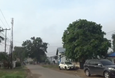 Kabut Asap Mulai Membaik, Siswa di Muaro Jambi Kembali Belajar Tatap Muka