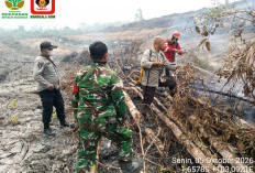 Tim Gabungan Padamkan Hotspot di Desa Pelayangan Batanghari, Luas Lahan Terbakar Hampir Sehektar