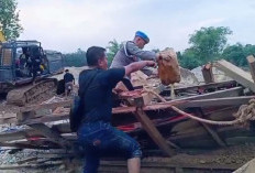 Berantas Peti, Petugas Bakar Perangkat Tambang Ilegal Alat Berat Peti Rantau Pandan