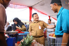 Pasar Murah Kecamatan Alam Barajo Diserbu Warga, Masyarakat Berikan Apresiasi