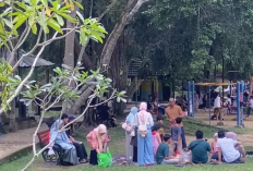 Hutan Kota Muhammad Sabki Ramai Dikunjungi Saat Lebaran 2026