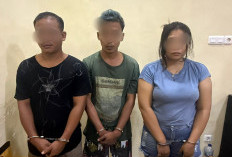 Berantas Narkoba, 3 Orang Pelaku Di Kec.Mandiangin Berhasil Di Bekuk 