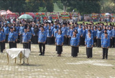 Ratusan ASN Muaro Jambi Pensiun Tahun Ini, Dua Kepala OPD Ikut Akhiri Masa Tugas