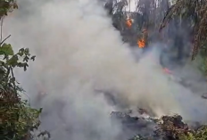 30 Hektare Lahan Sawit di Sarolangun Masih Terbakar, Petugas Berjibaku Padamkan Api 