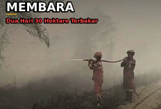 Gambut Sungai Abang Kembali Membara, Dua Hari 30 Hektare Lahan Terbakar