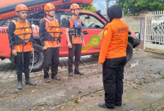 Mobil Masuk Jurang, Tim SAR Lakukan Pencarian Terhadap Dua Korban Di Perbatasan Merangin-Kerinci