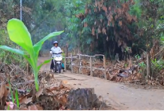 Jembatan Kebon Sembilan Dibangun, Akses Ekonomi Warga Kembali Terbuka