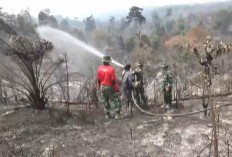 677,3 Hektare Kawasan Tahura Sultan Thaha Syaifuddin di Batang Hari Hangus Terbakar